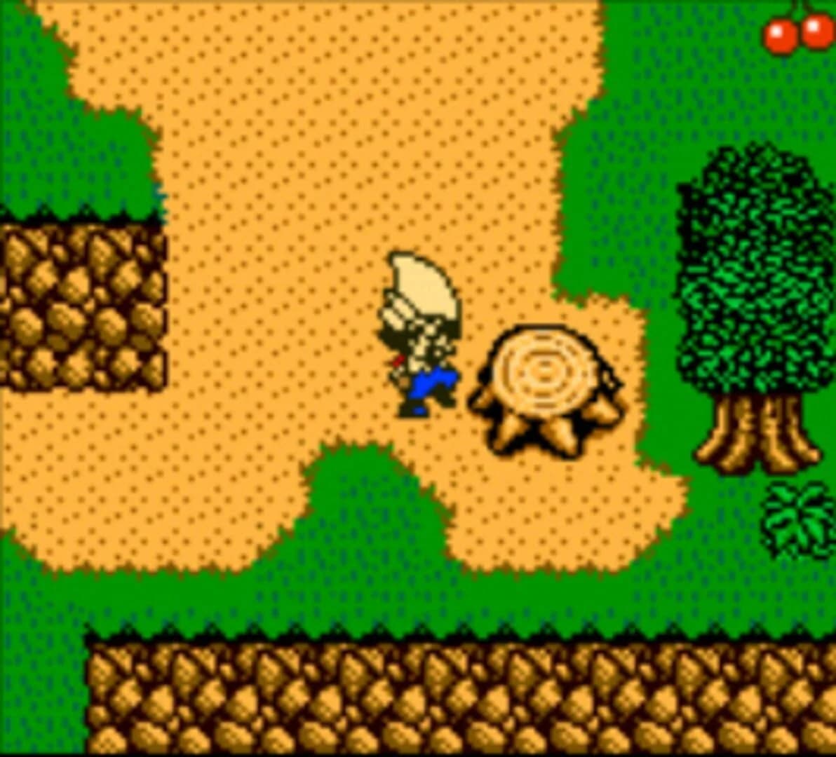 Harvest Moon 3 GBC screenshot 3