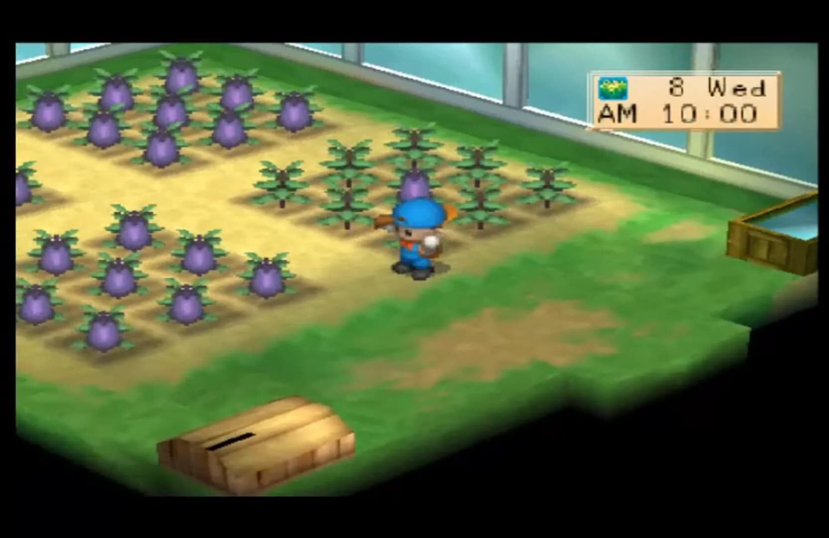 Harvest Moon: Boy & Girl screenshot 1