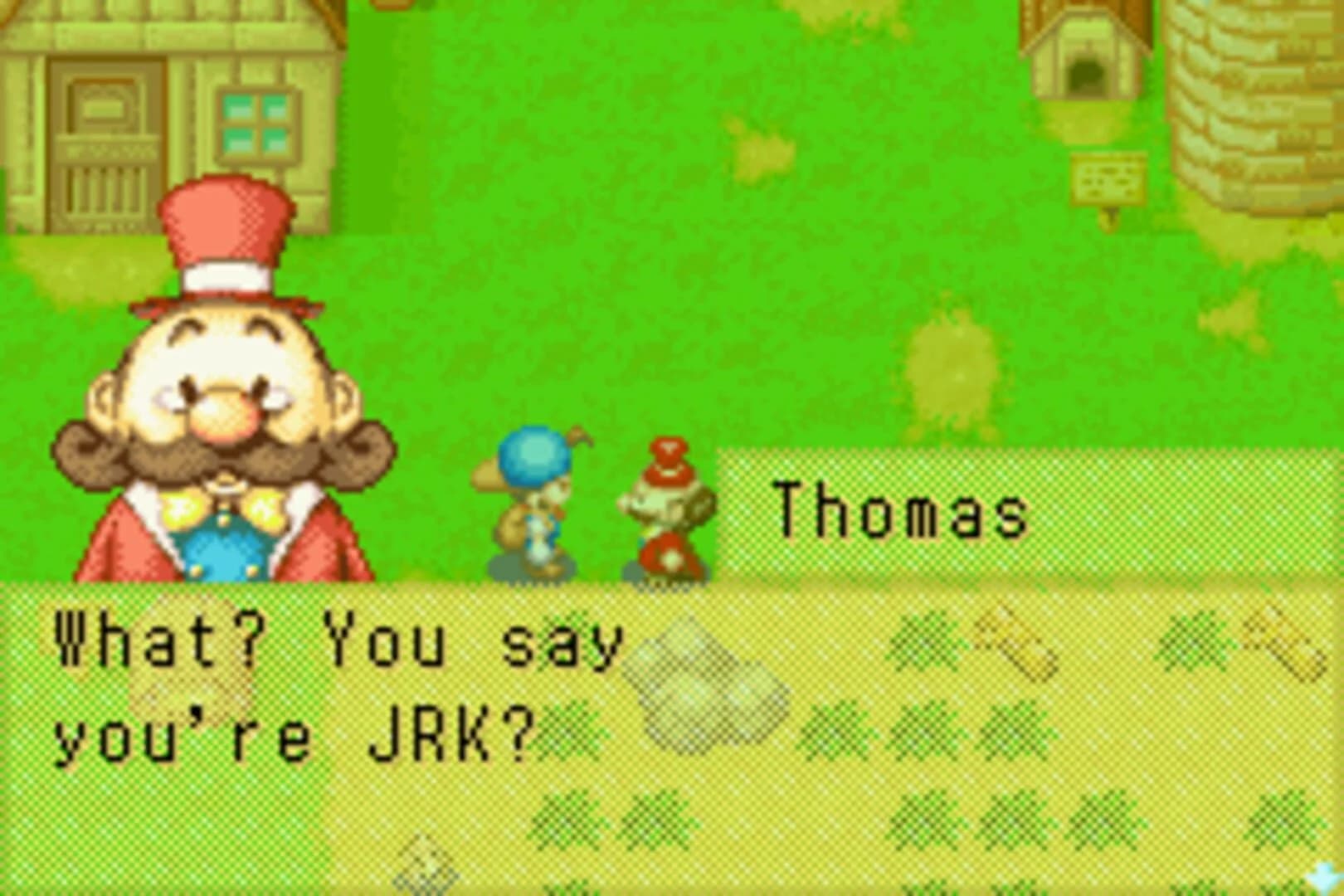 Harvest Moon: Friends of Mineral Town screenshot 4