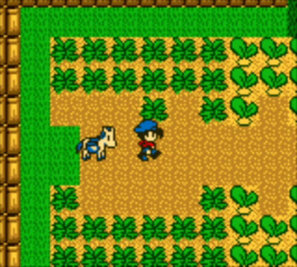 Harvest Moon GB screenshot 5