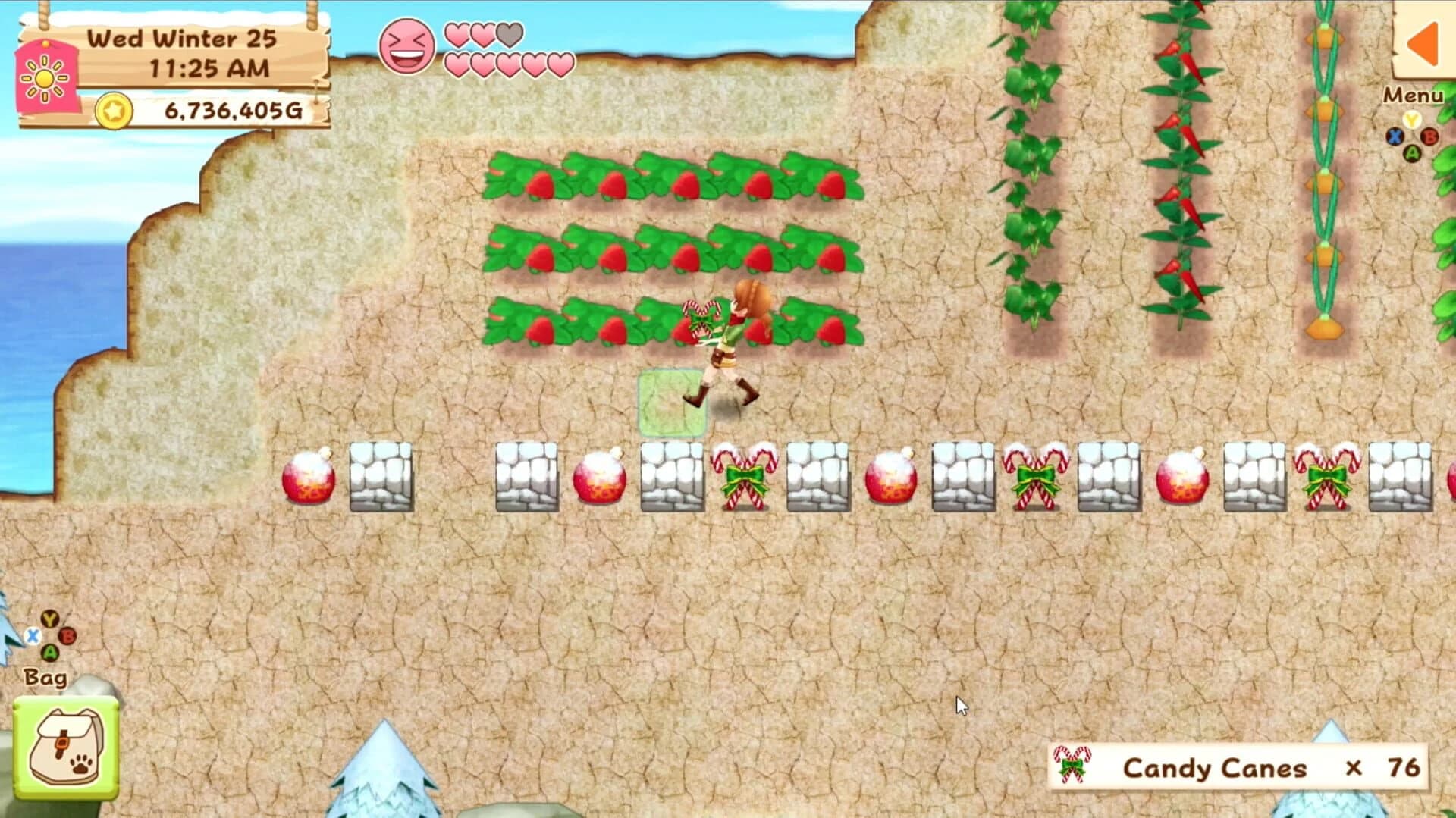 Harvest Moon: Light of Hope screenshot 2