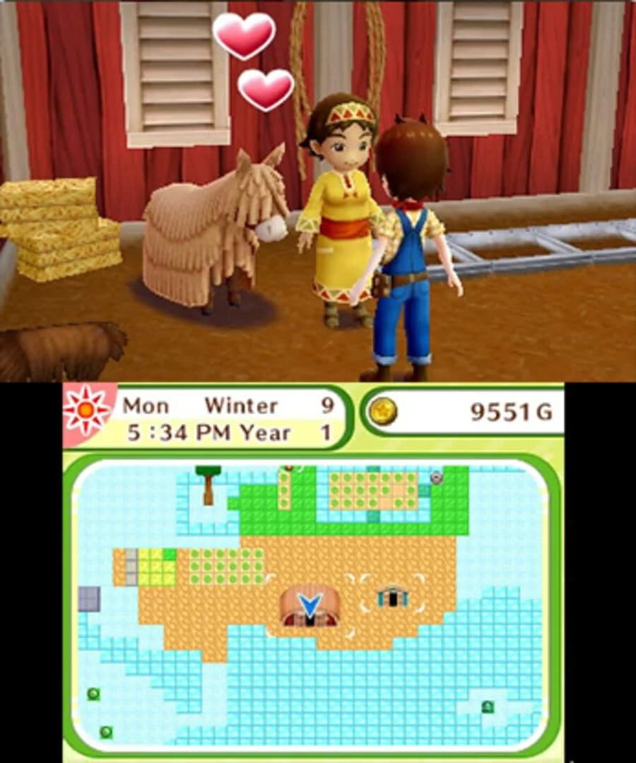Harvest Moon: Skytree Village screenshot 5