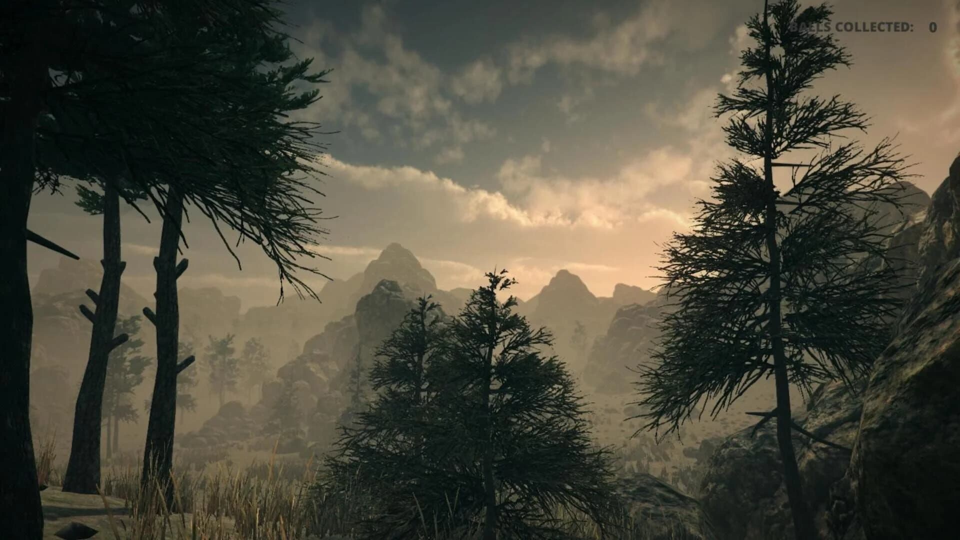 Hearing screenshot 3