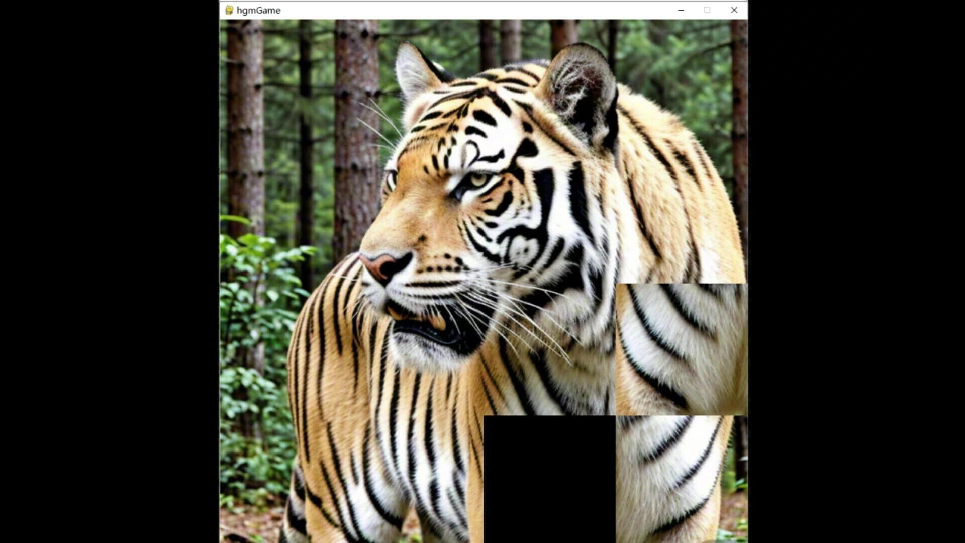 HgmGame-Tiger screenshot 3