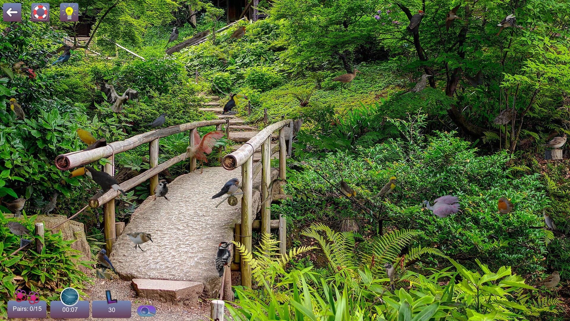 Hidden Pairs 3: Lovely Birds screenshot 1