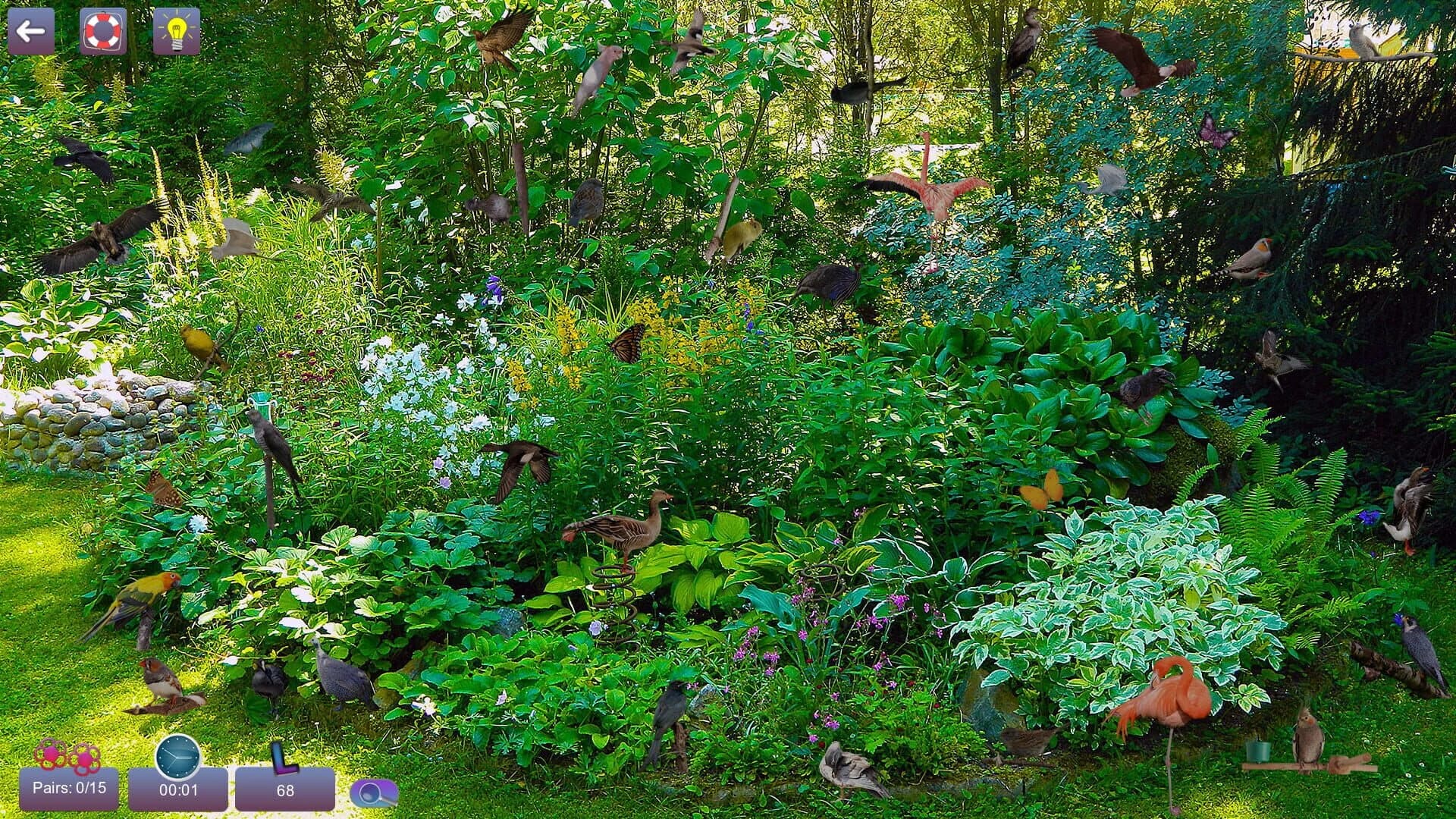 Hidden Pairs 3: Lovely Birds screenshot 2