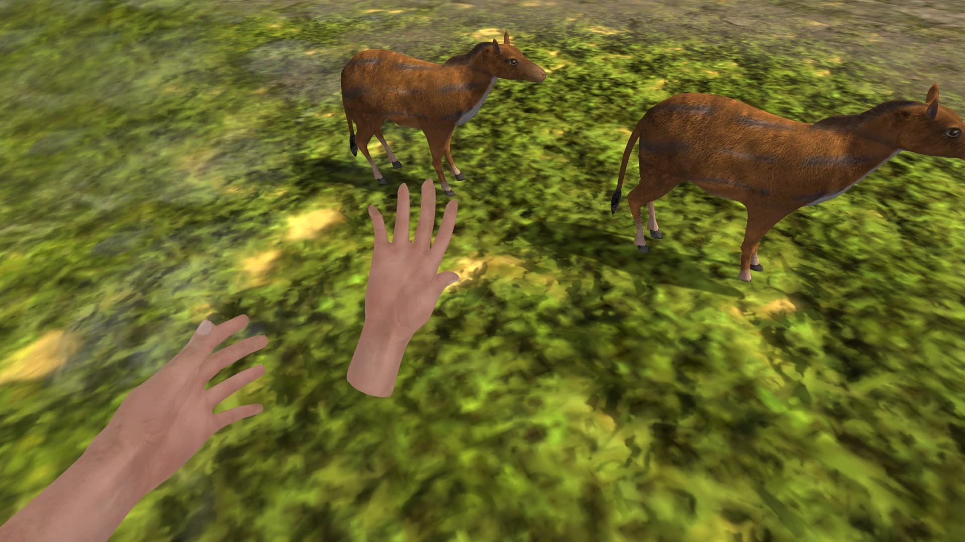 History of Korea: VR screenshot 2
