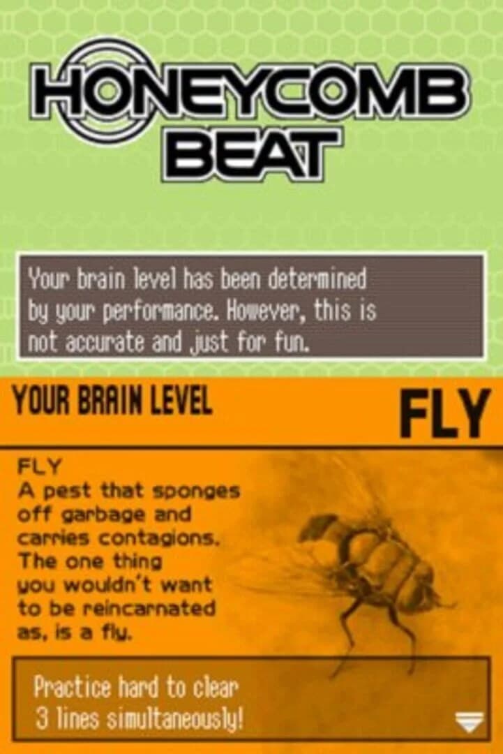 Honeycomb Beat screenshot 5