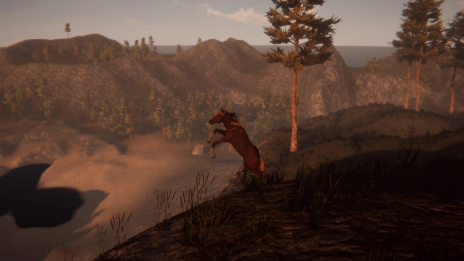 Horse and Go Seek screenshot 2