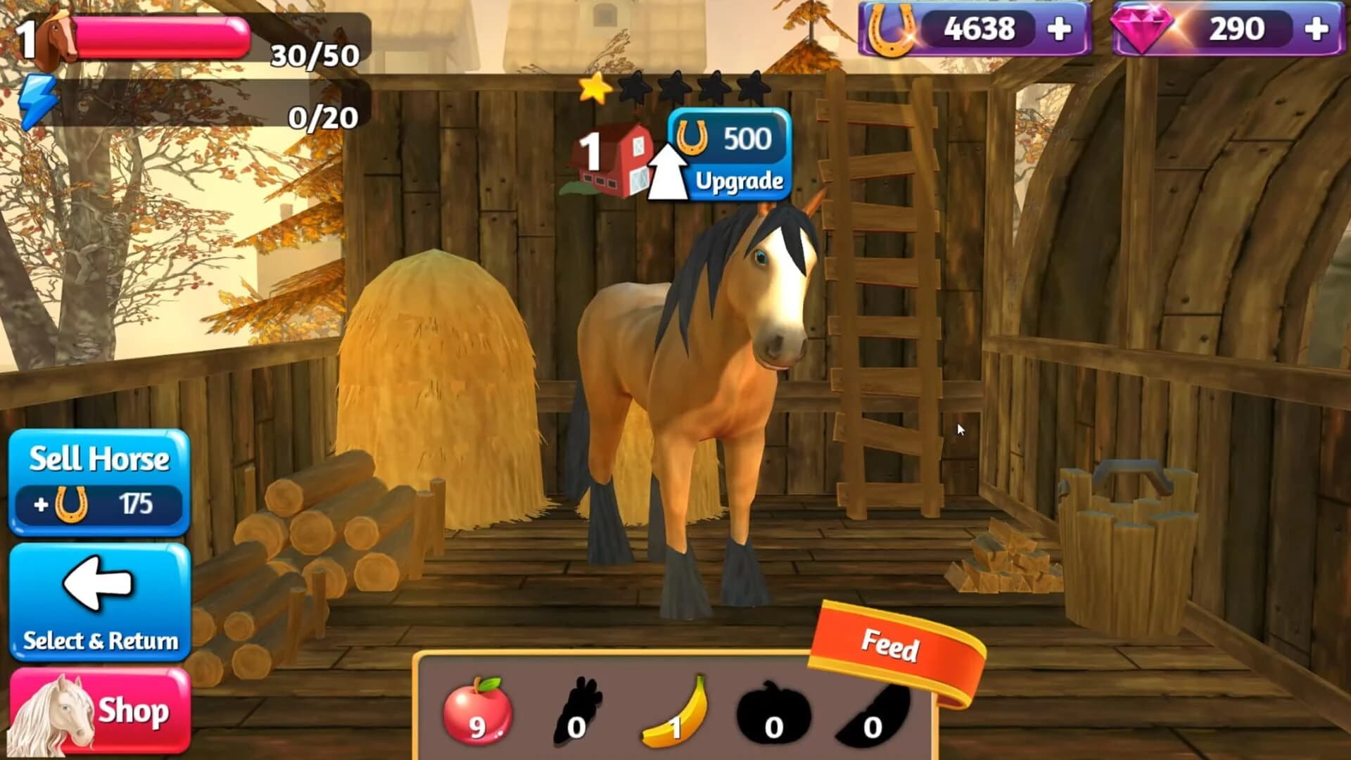 Horse Paradise: My Dream Ranch screenshot 5