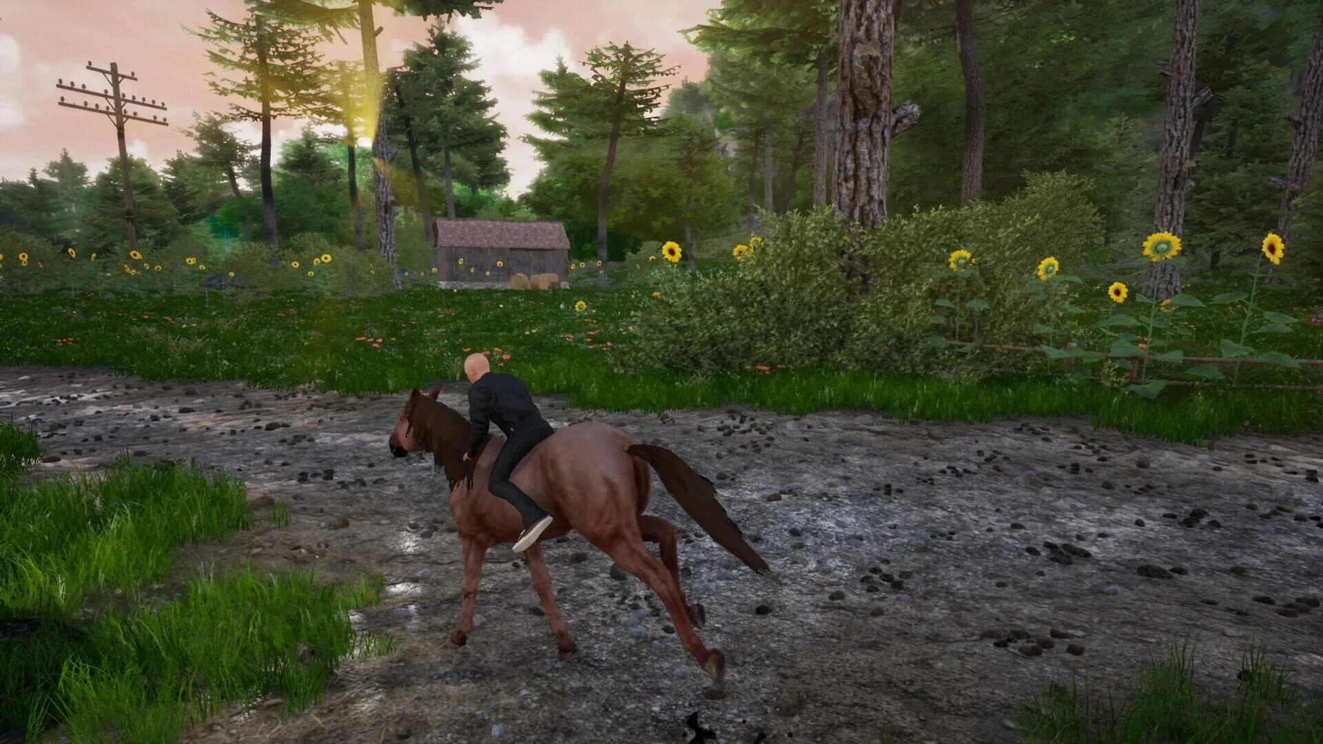 Horse Riding Deluxe 2 screenshot 1
