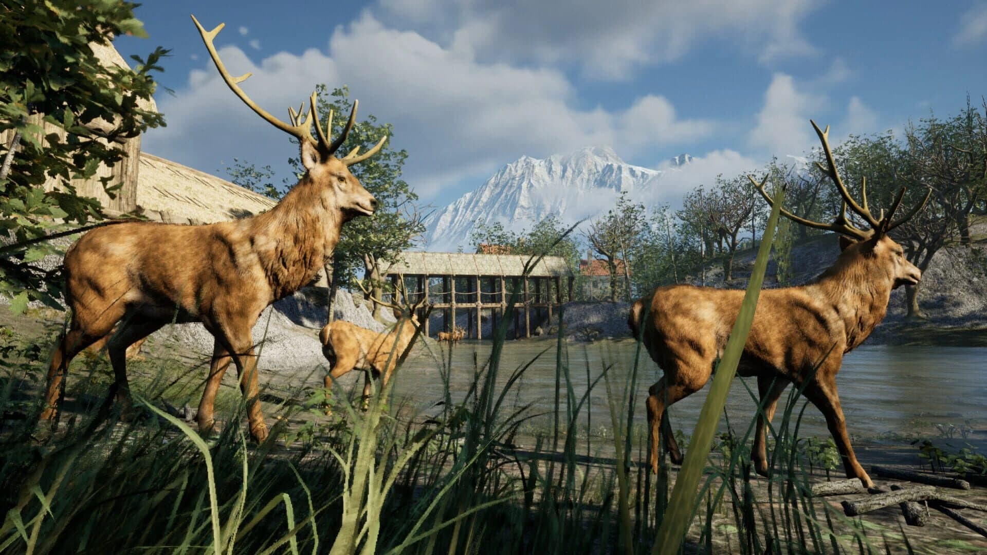 Hüddam screenshot 4