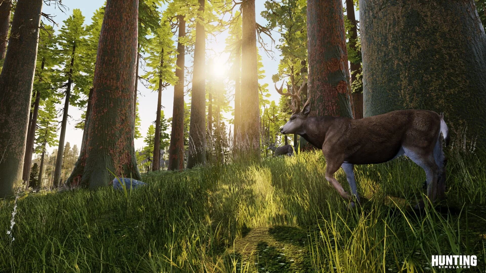 Hunting Simulator screenshot 4