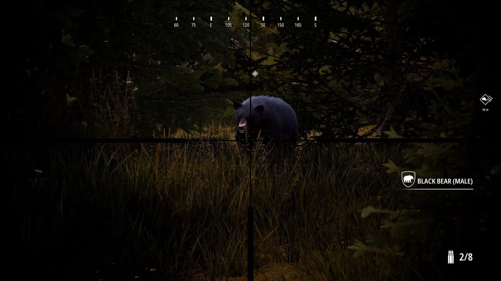 Hunting Simulator 2: Bear Hunter Edition screenshot 2