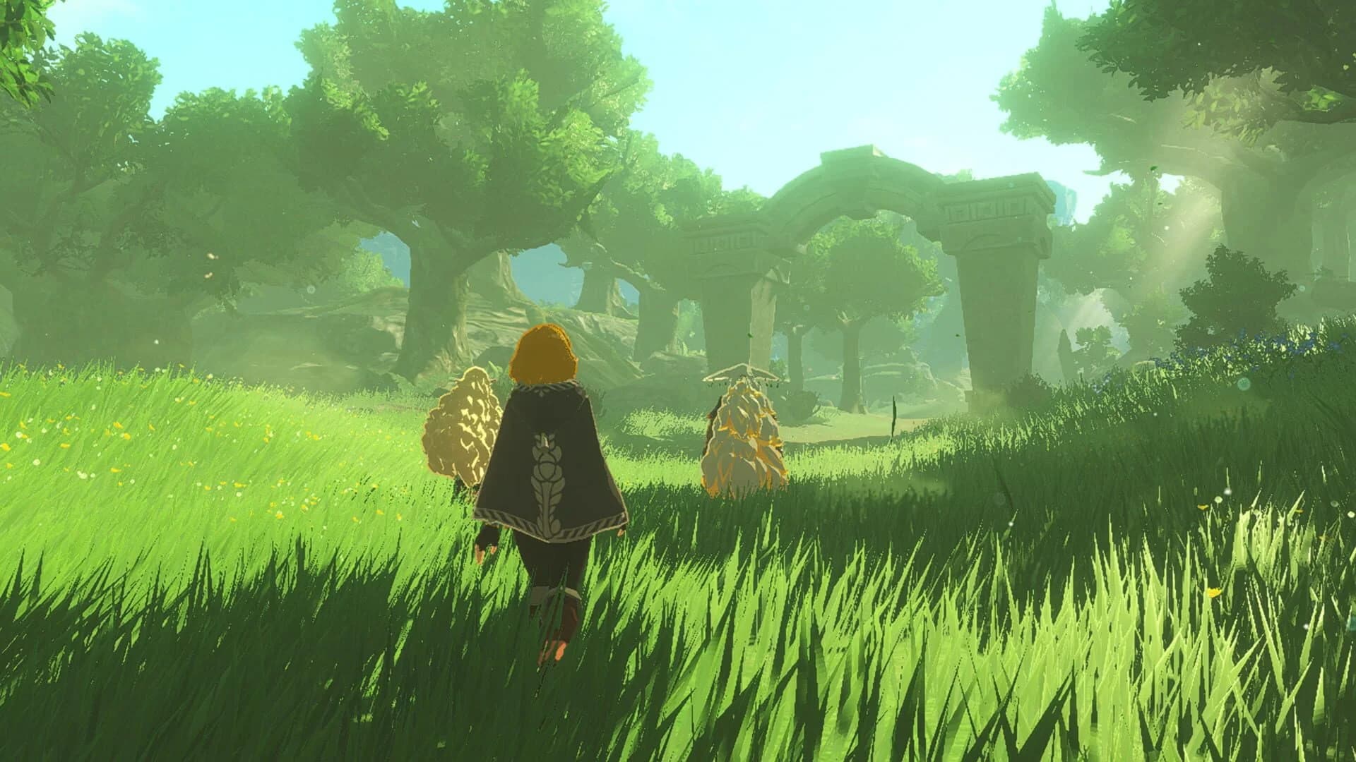 Hyrule Warriors: Age of Imprisonment screenshot 2