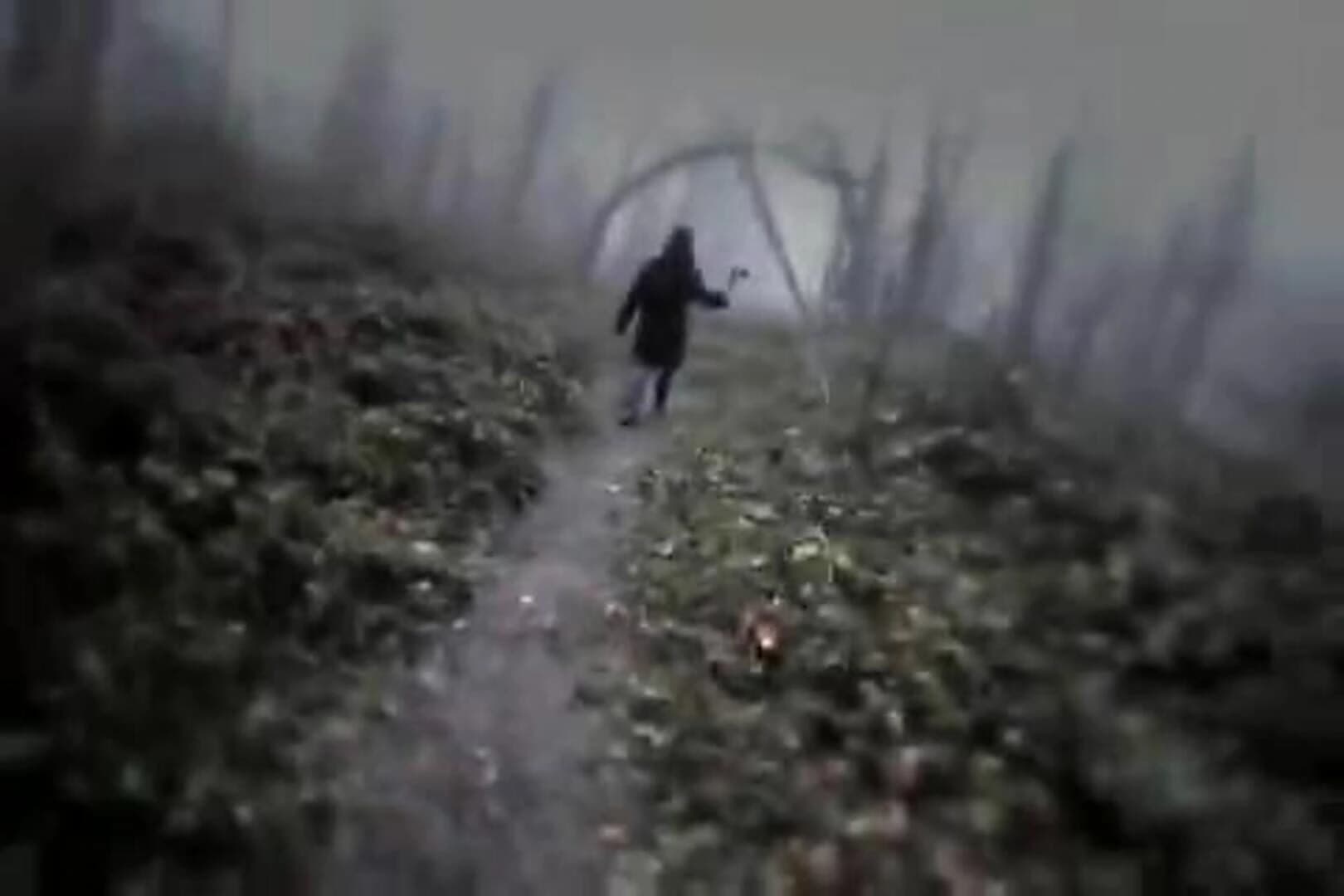 Hysteria Project screenshot 2