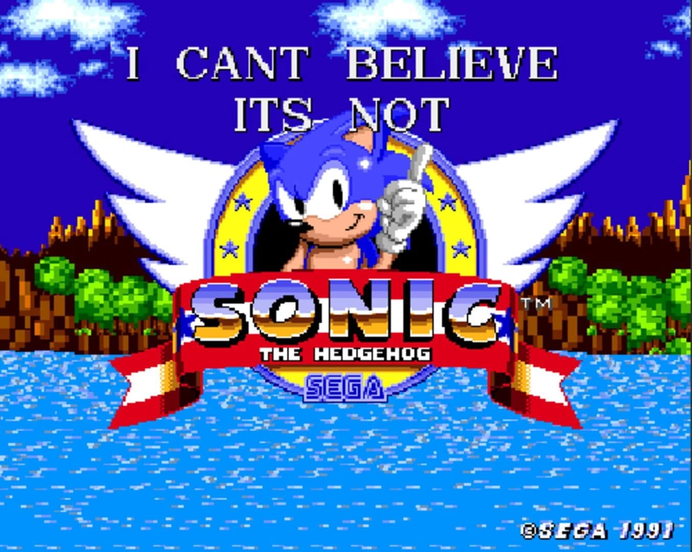 I Can't Believe it's Not Sonic 1 screenshot 1