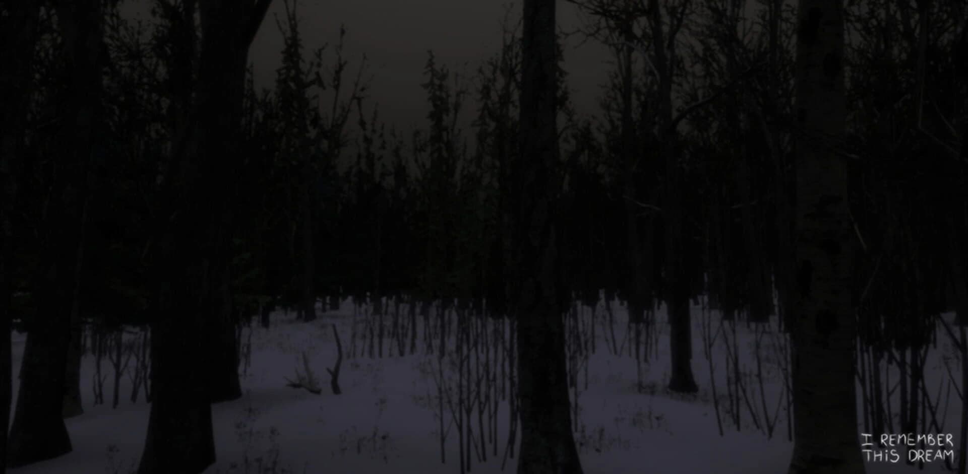 I Remember This Dream screenshot 1