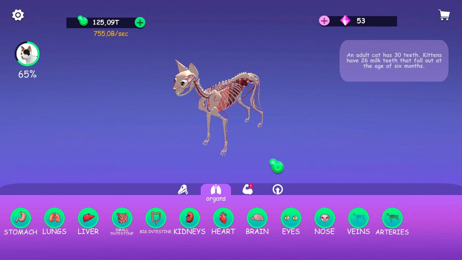 Idle Animal Anatomy screenshot 2