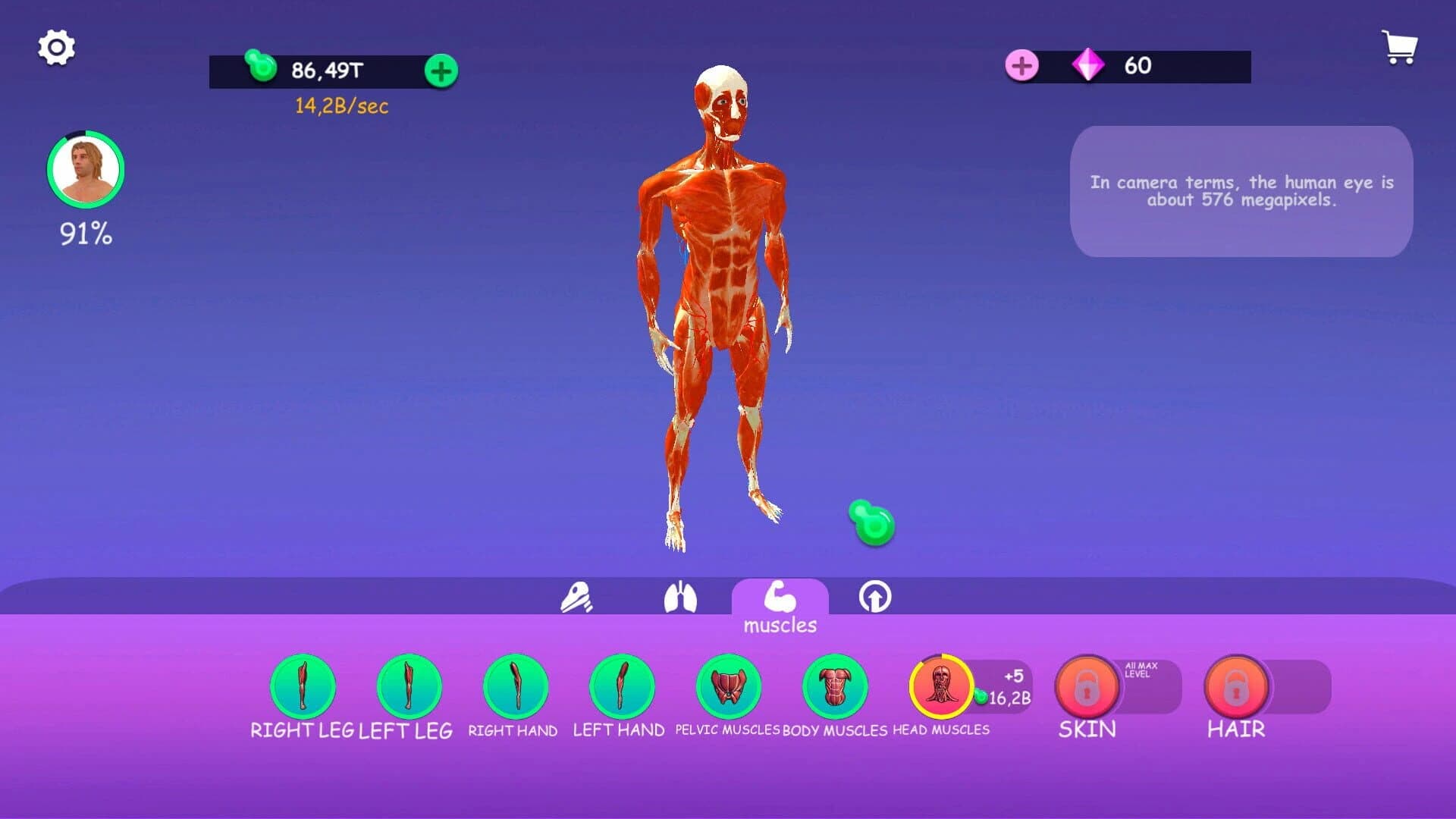 Idle Animal Anatomy screenshot 4