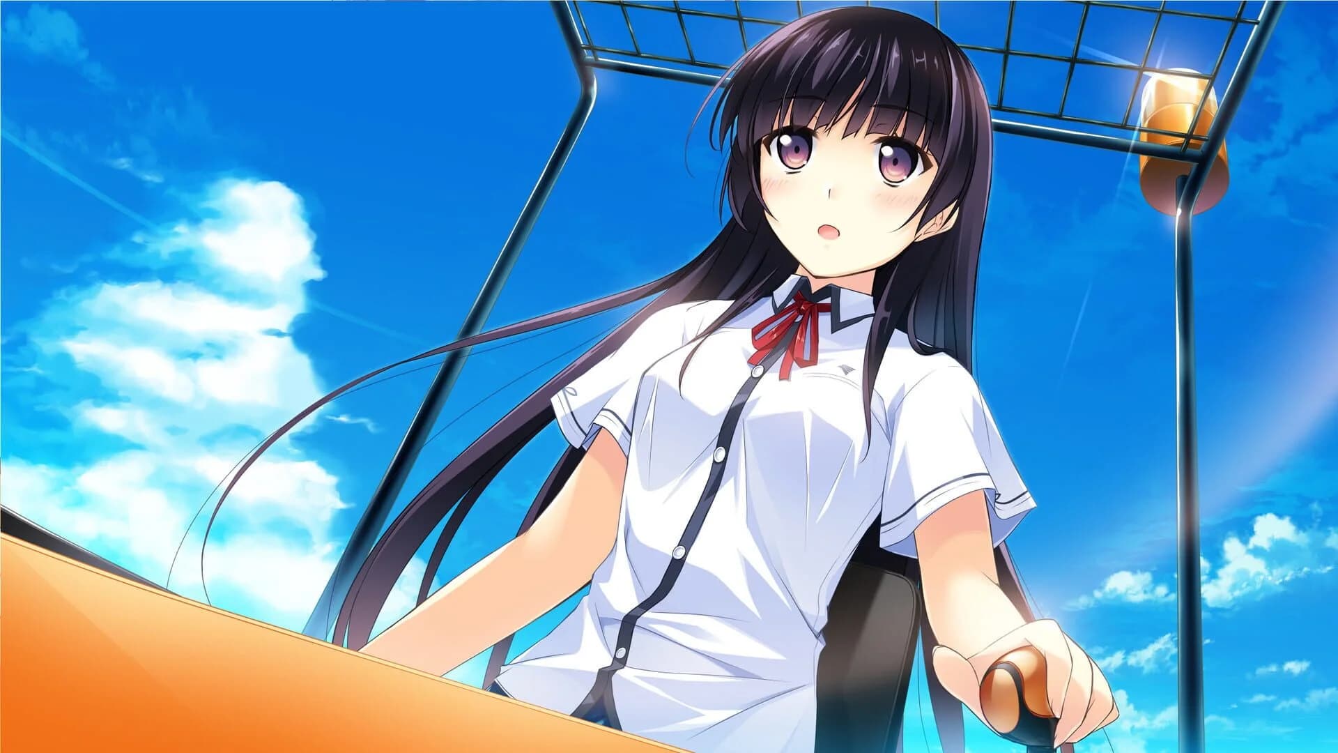 If My Heart Had Wings: Flight Diary screenshot 2