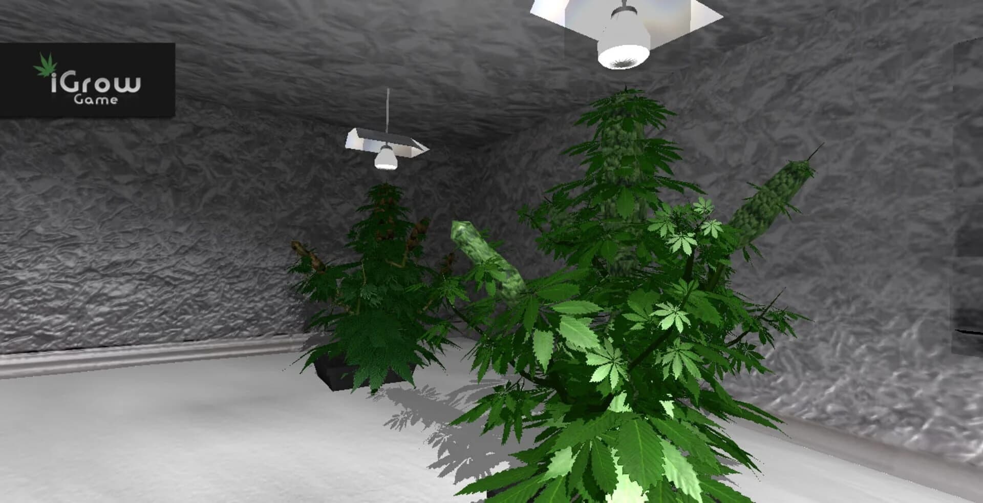 iGrow Game screenshot 5