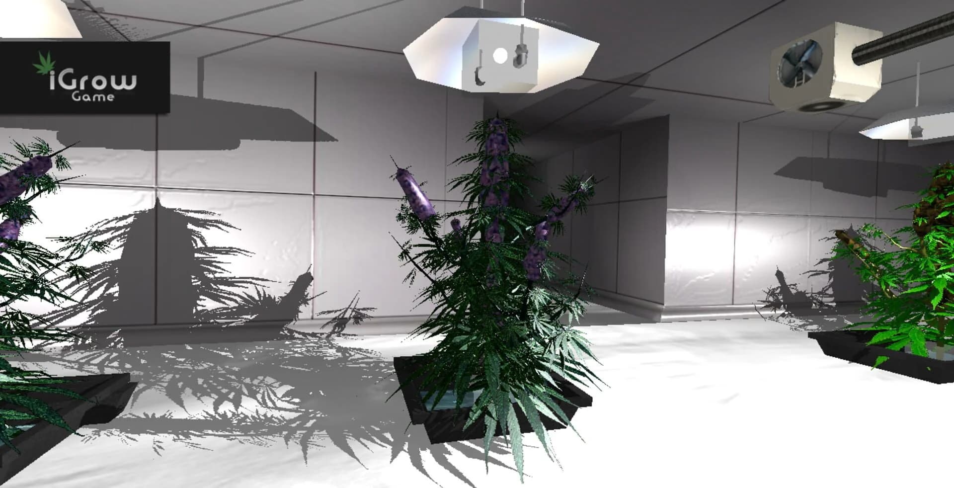 iGrow Game screenshot 4