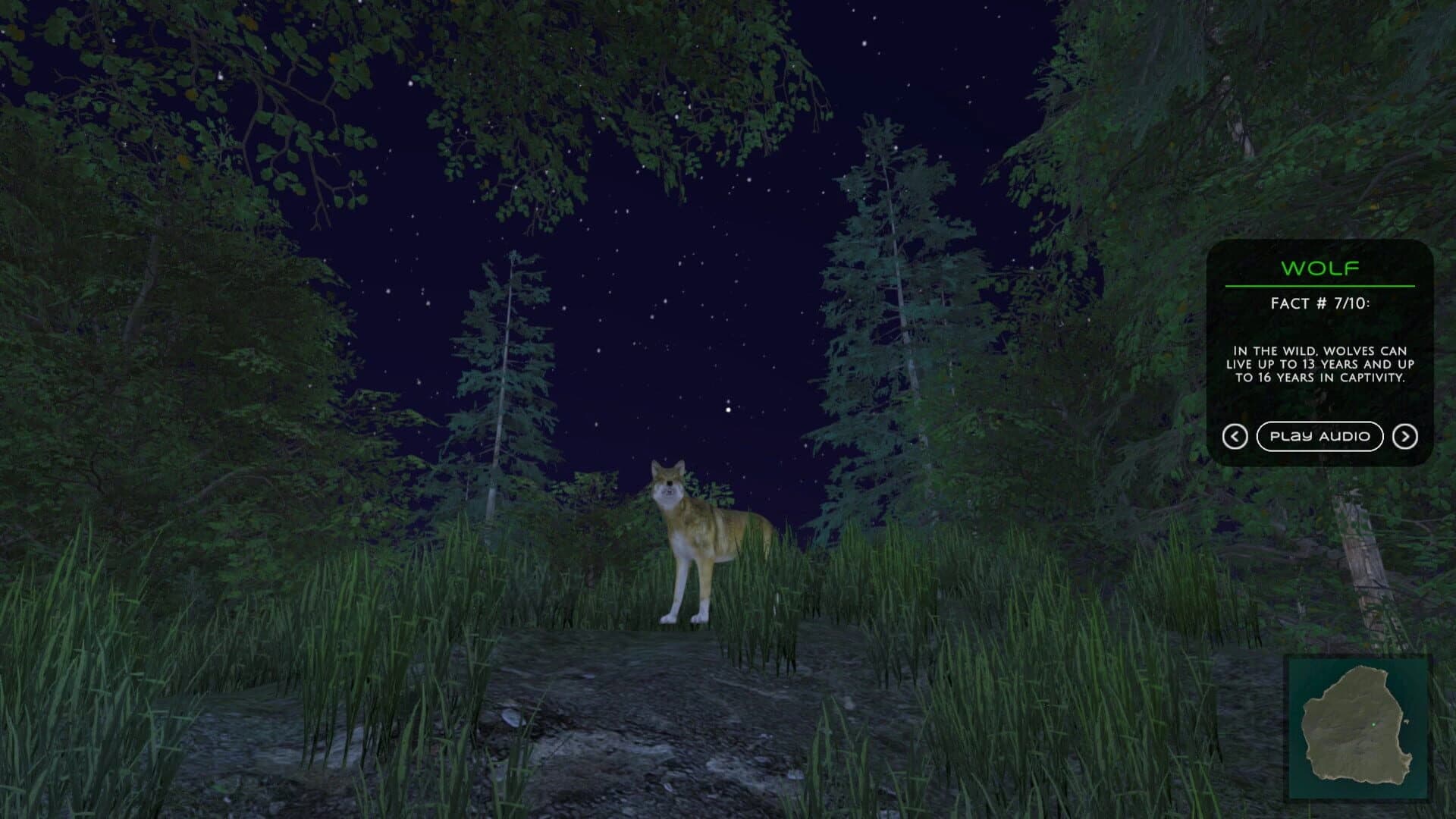 In the Wild screenshot 4