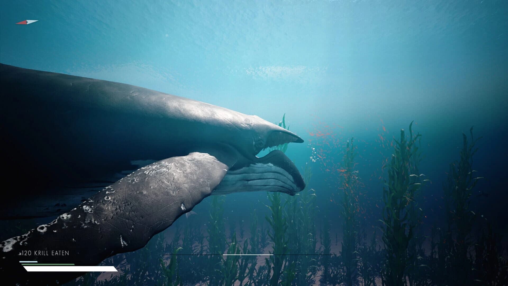 Infinite Blue screenshot 1