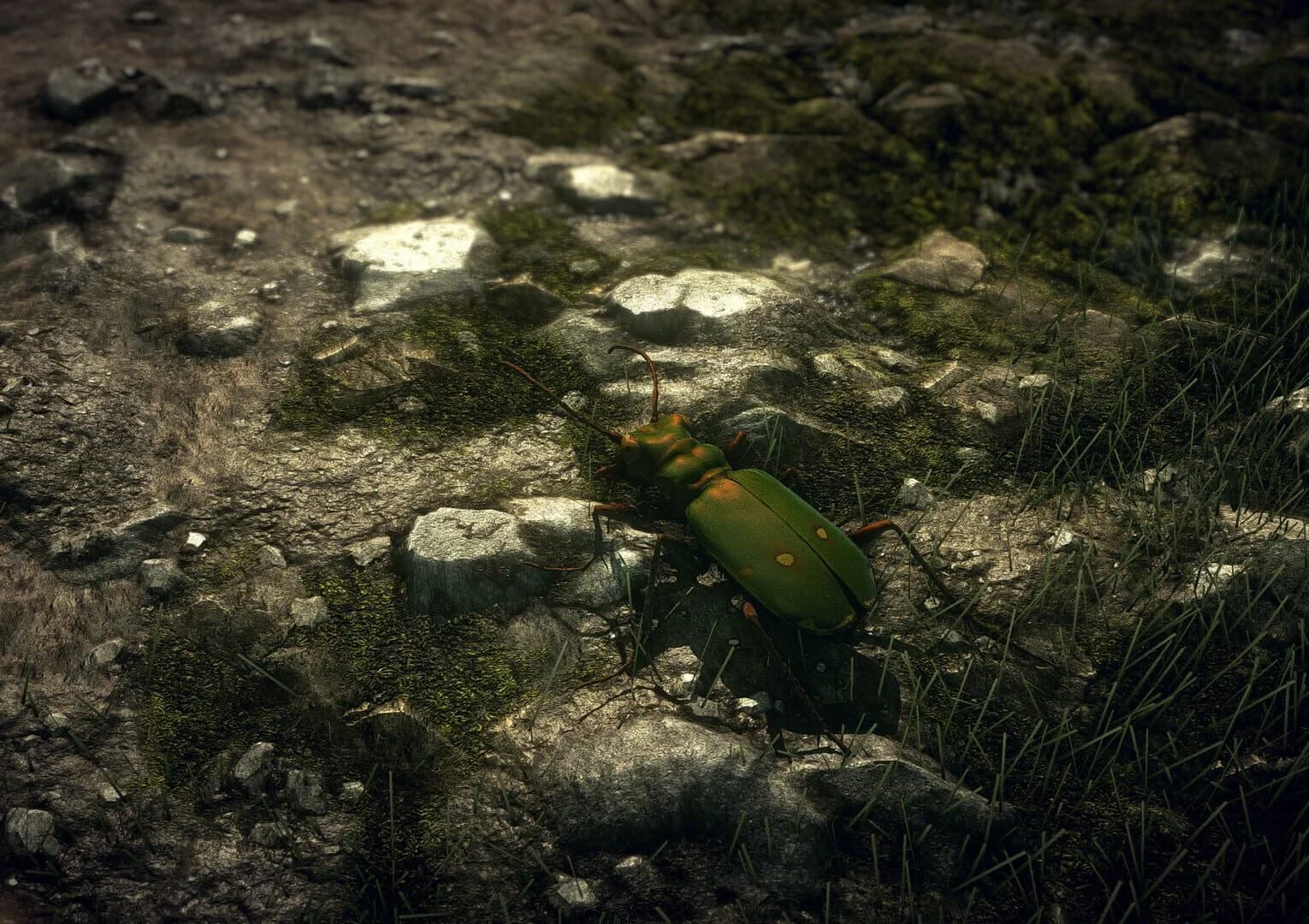 Insect Worlds screenshot 3