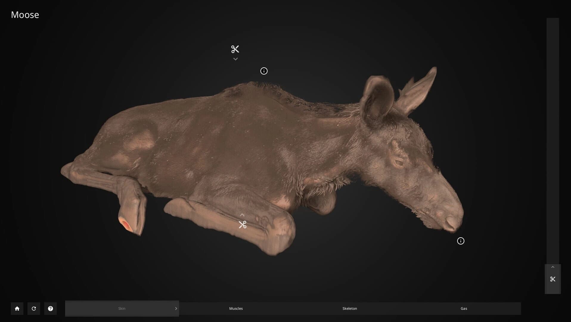 Inside Explorer screenshot 3