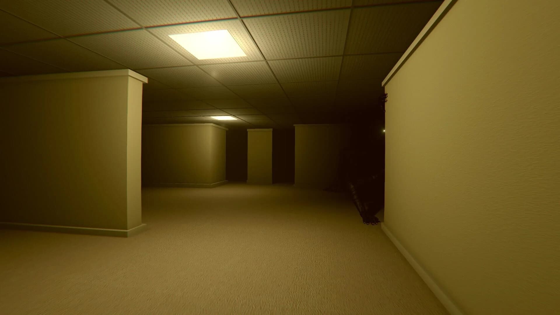 Into the Backrooms screenshot 1