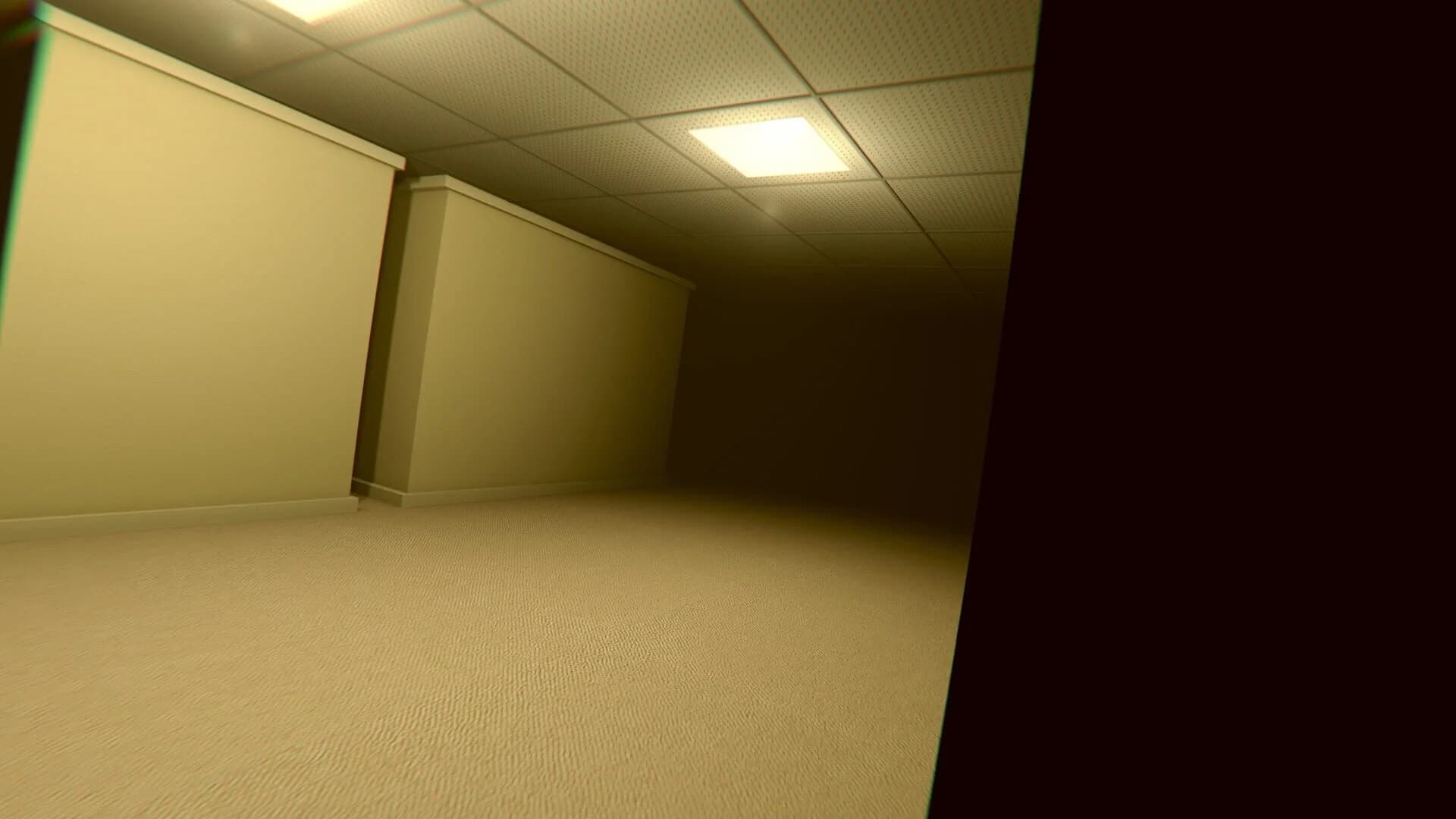 Into the Backrooms screenshot 3
