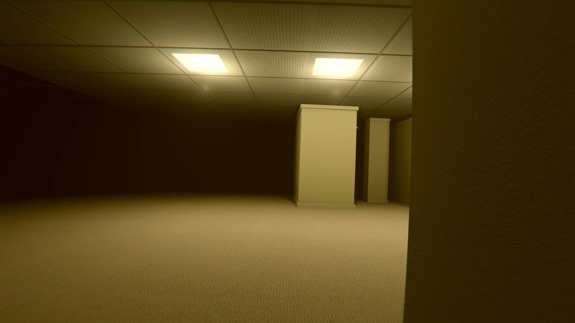 Into the Backrooms screenshot 5