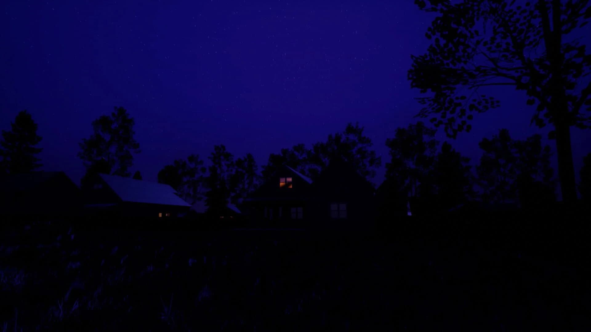 Irene.House screenshot 1