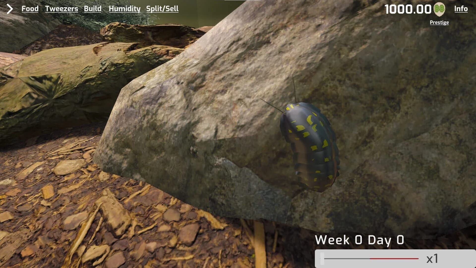 Isopod Keeping Simulator screenshot 5