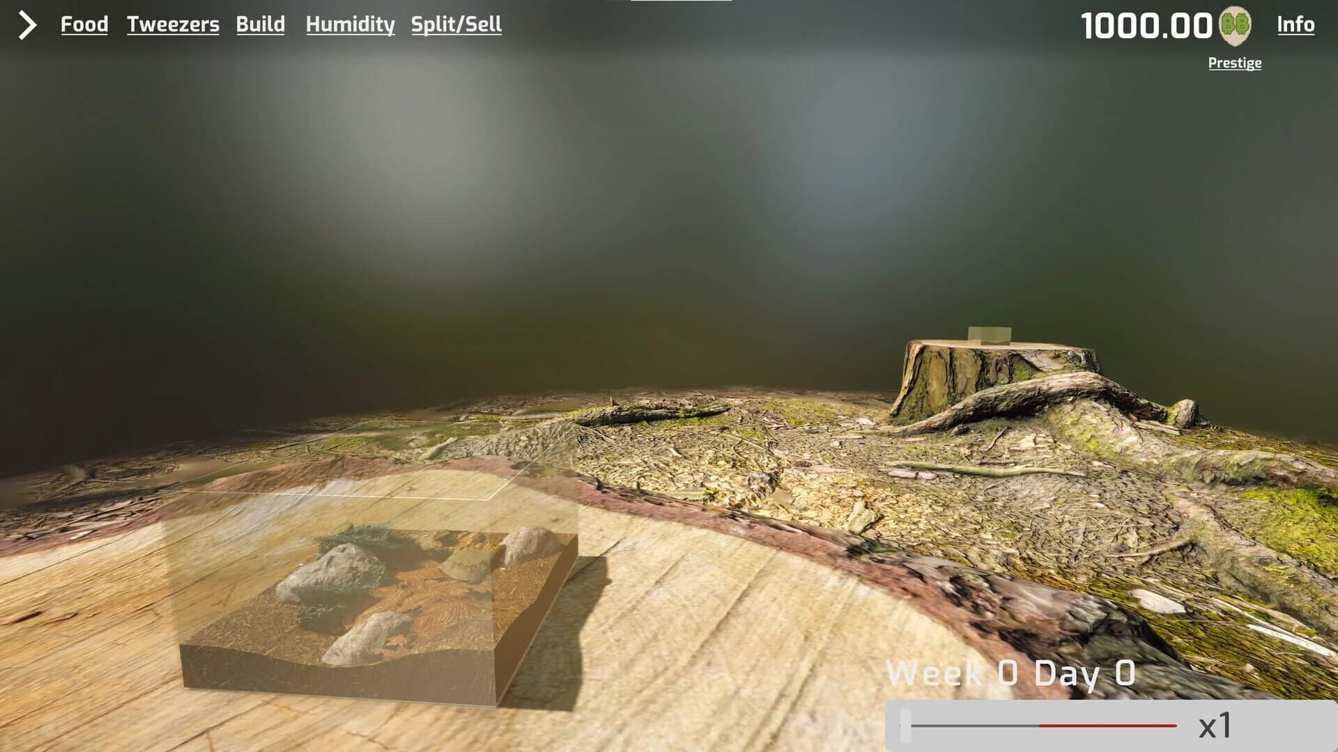 Isopod Keeping Simulator screenshot 2