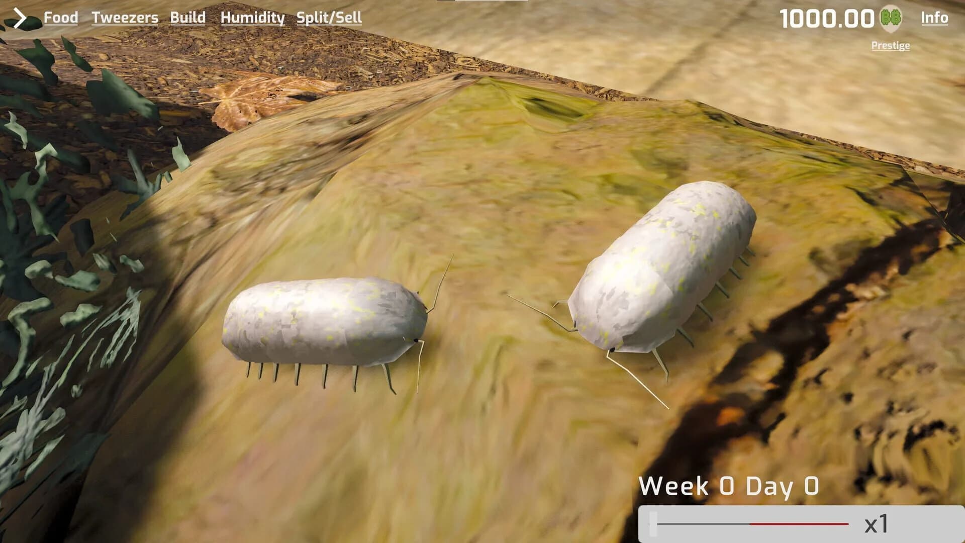 Isopod Keeping Simulator screenshot 3
