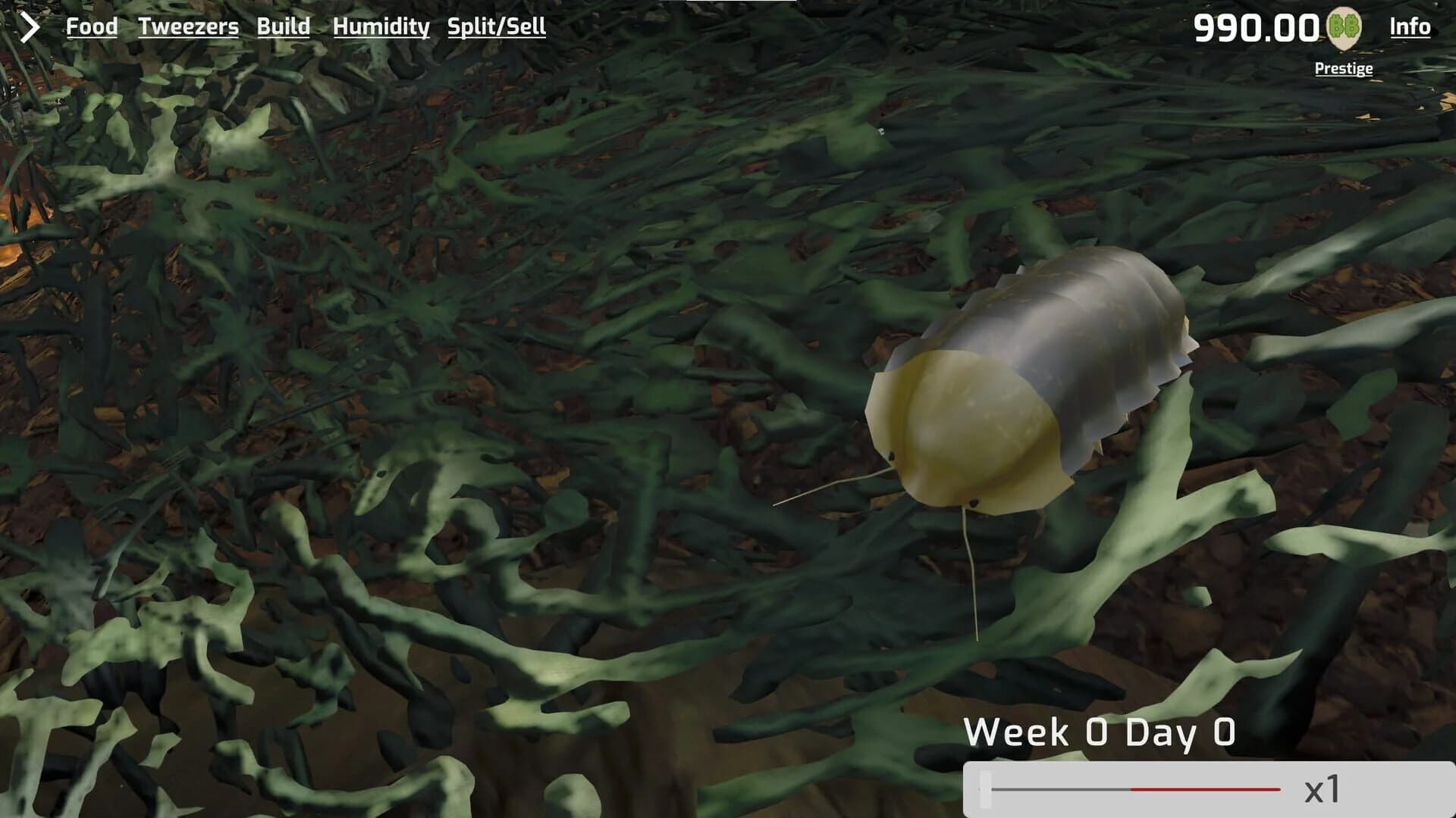 Isopod Keeping Simulator screenshot 4