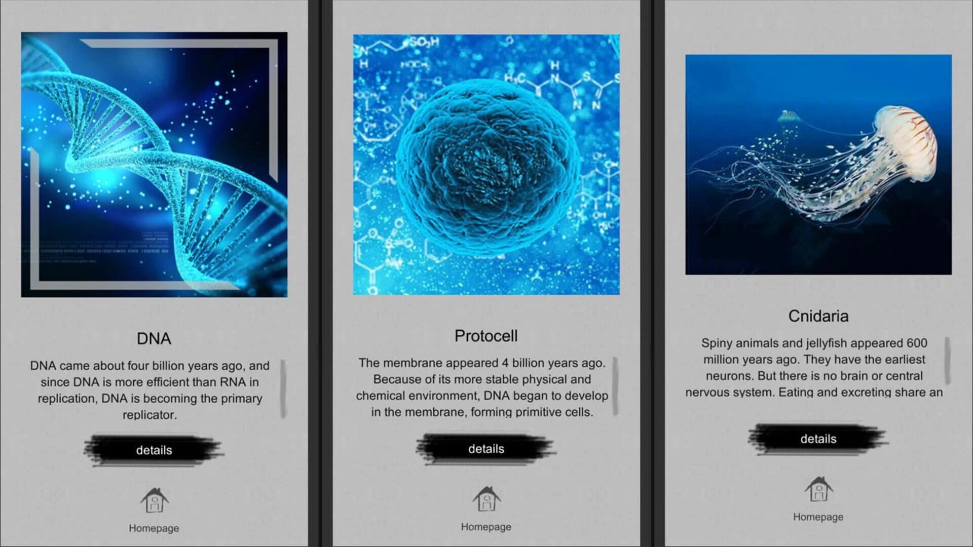Jigsaw puzzle: Evolution screenshot 5