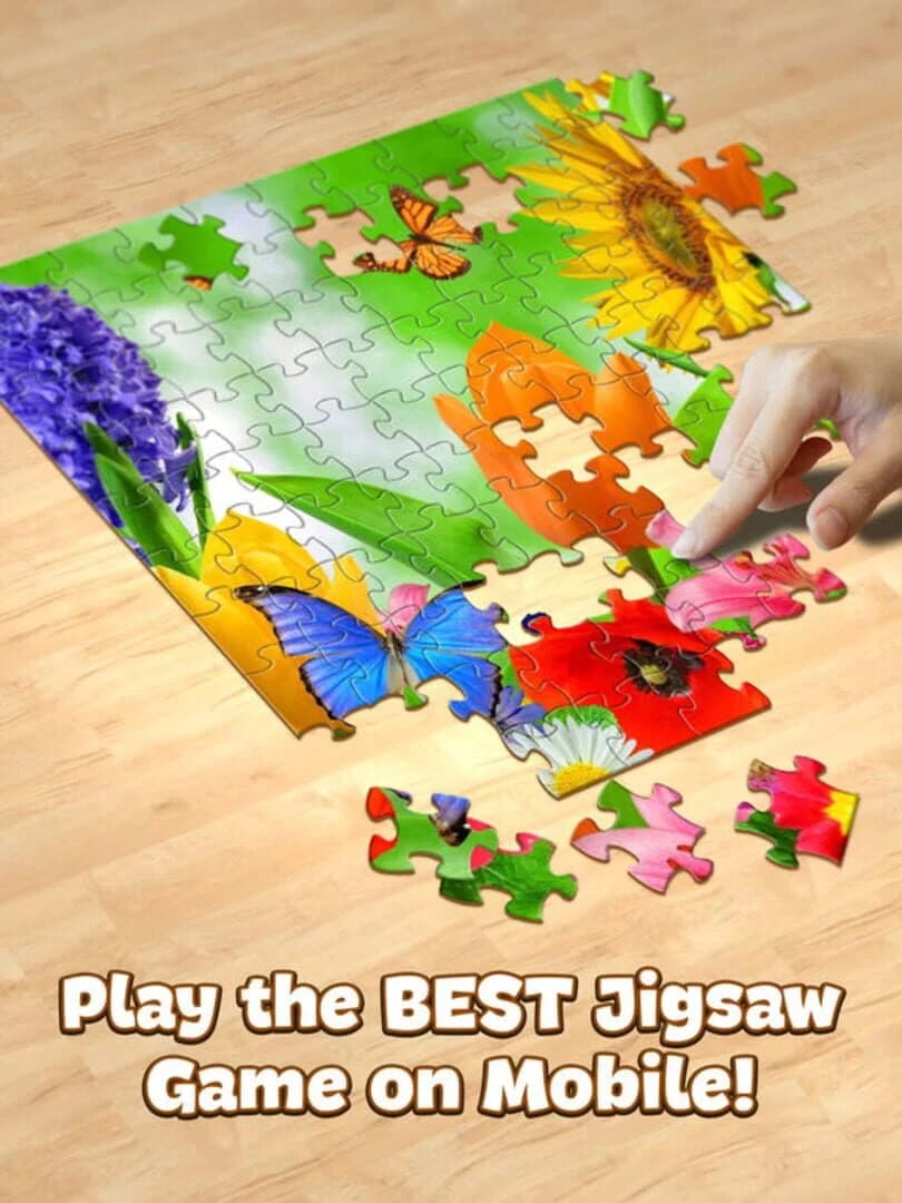 Jigsaw Puzzle Pro screenshot 2