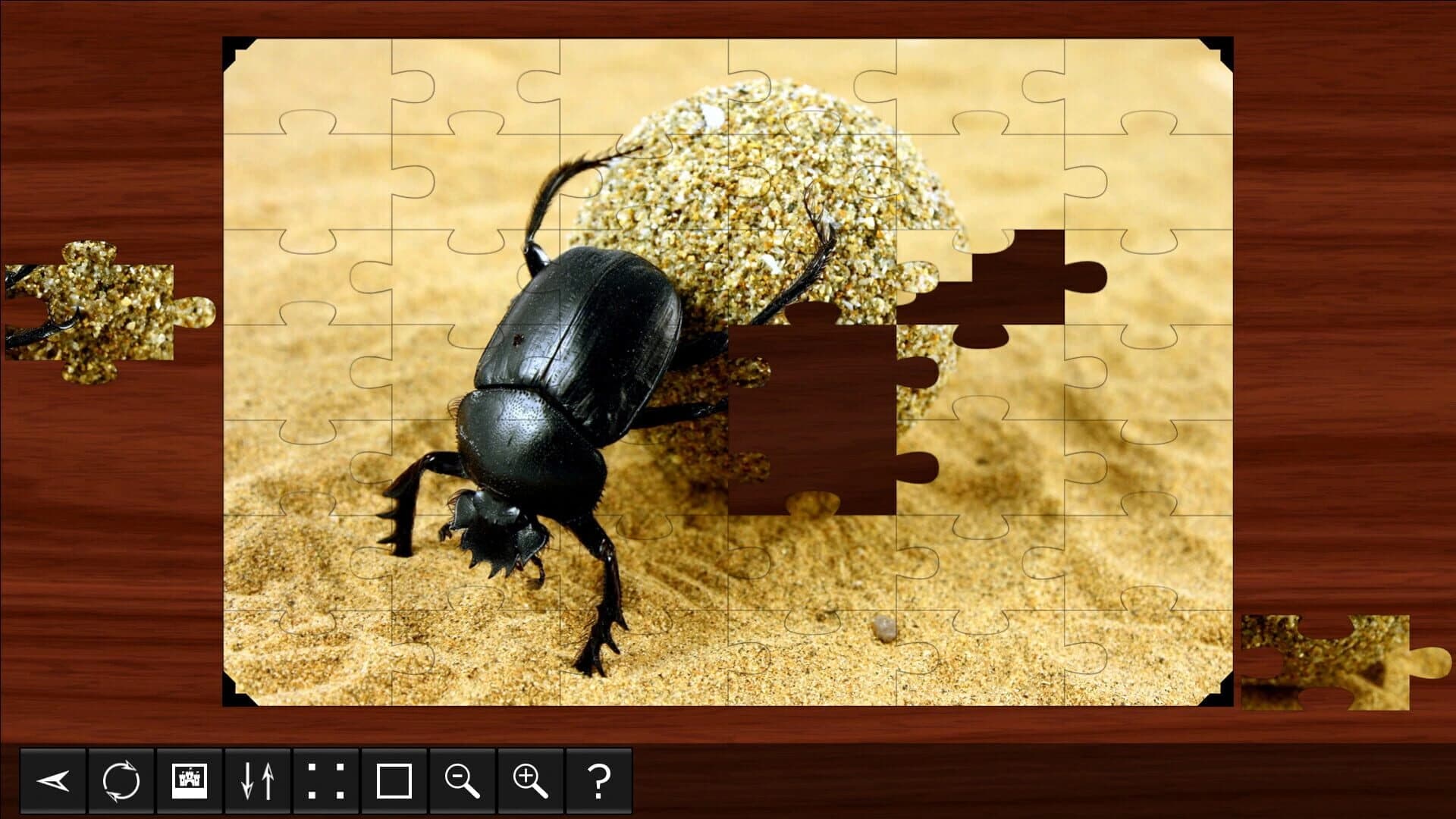 Jigsaw Puzzle World: Insects screenshot 3