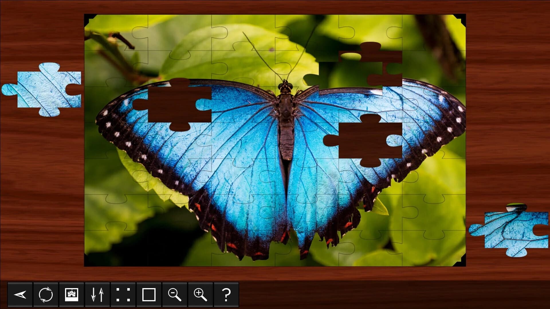Jigsaw Puzzle World: Insects screenshot 4