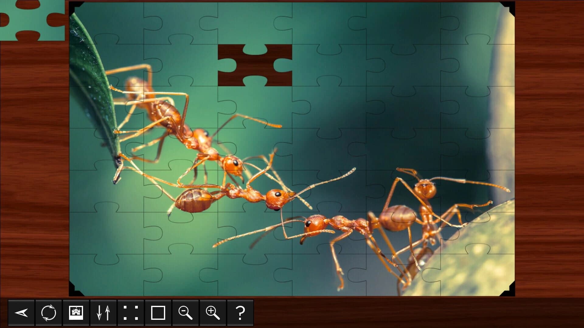 Jigsaw Puzzle World: Insects screenshot 2