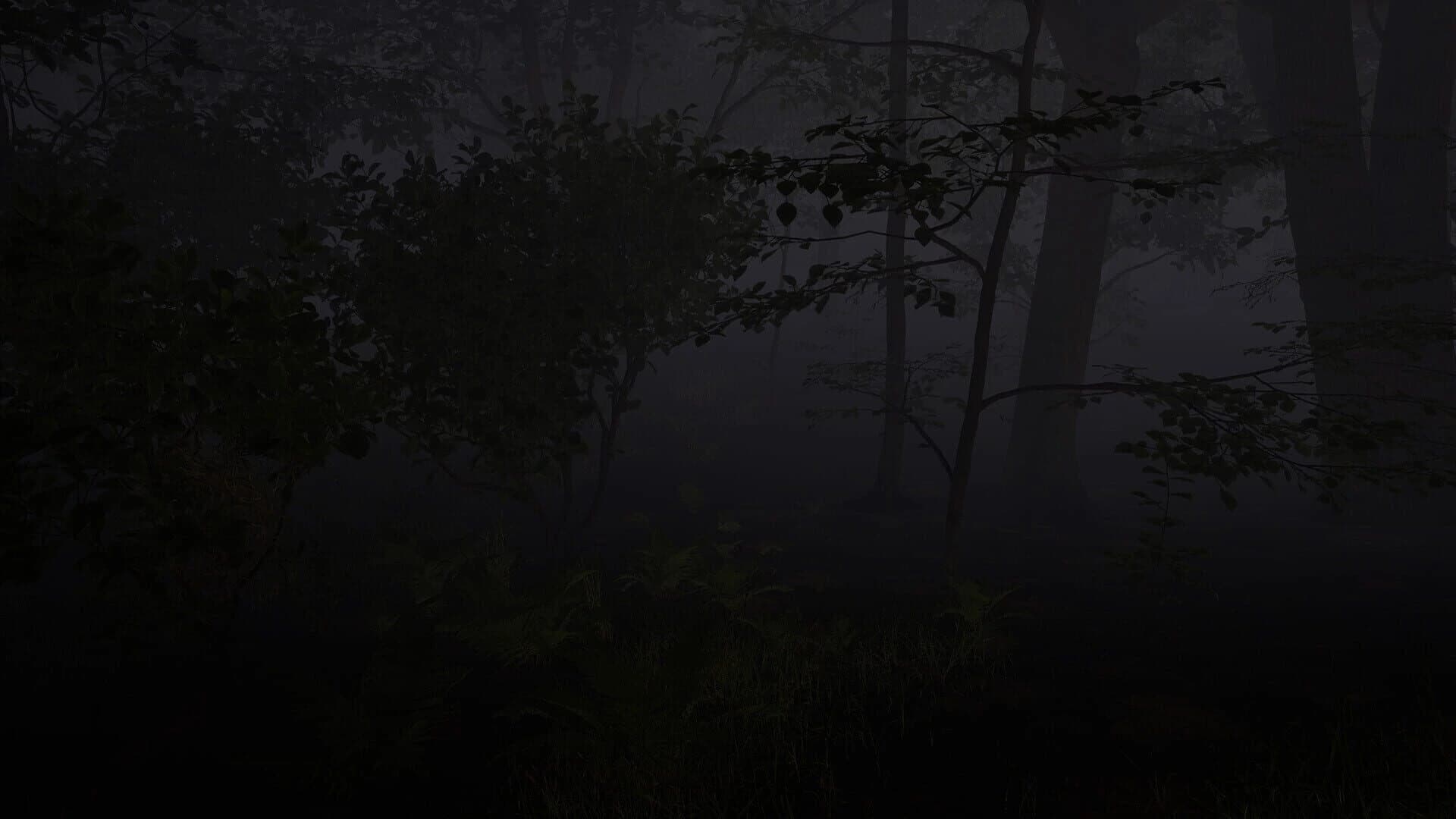 Joninės screenshot 3