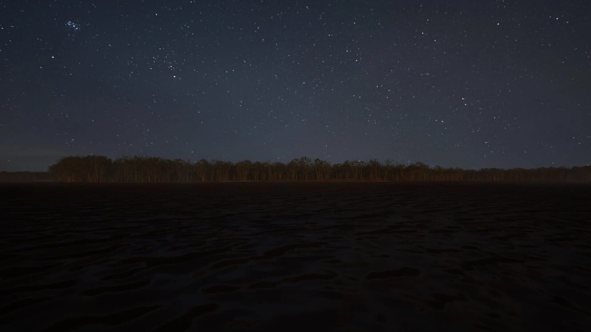 Joninės screenshot 5