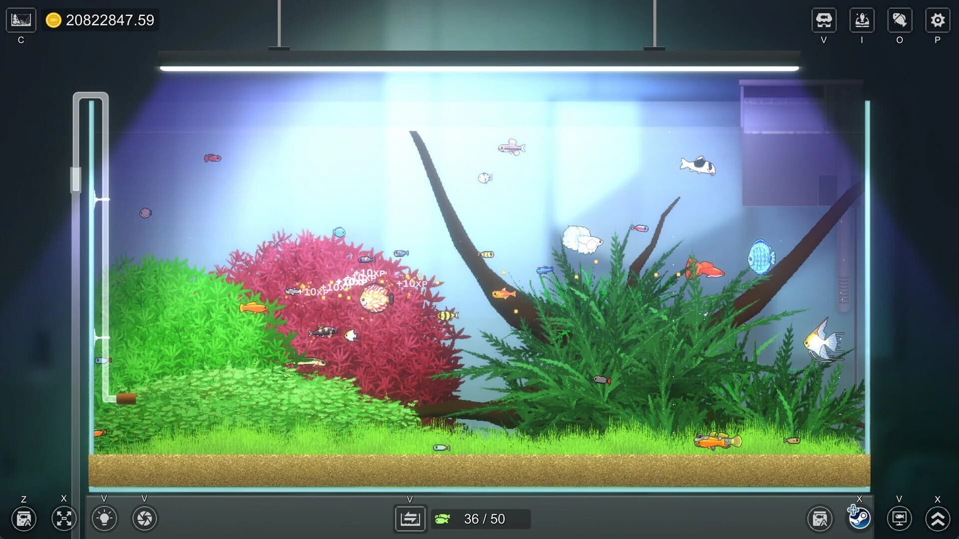 Joyquarium screenshot 5