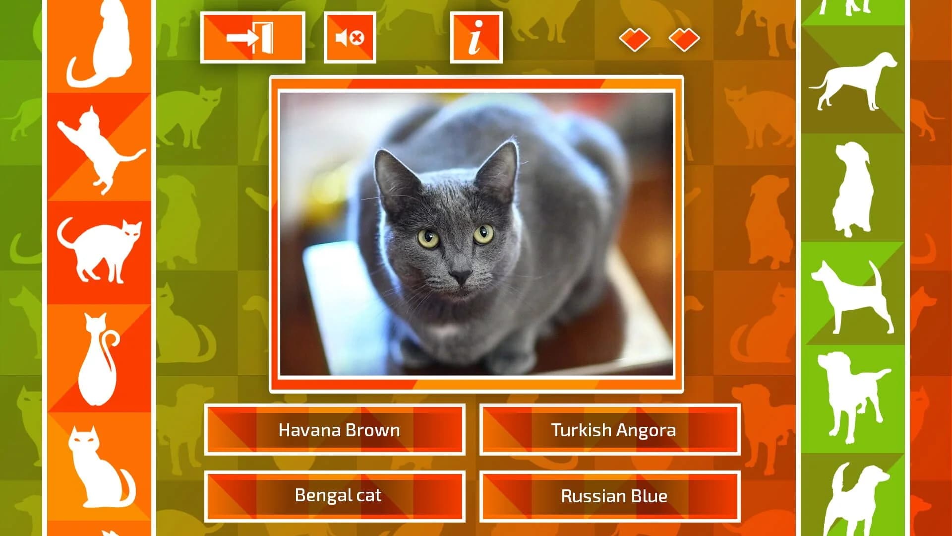 JQ: dogs & cats screenshot 5