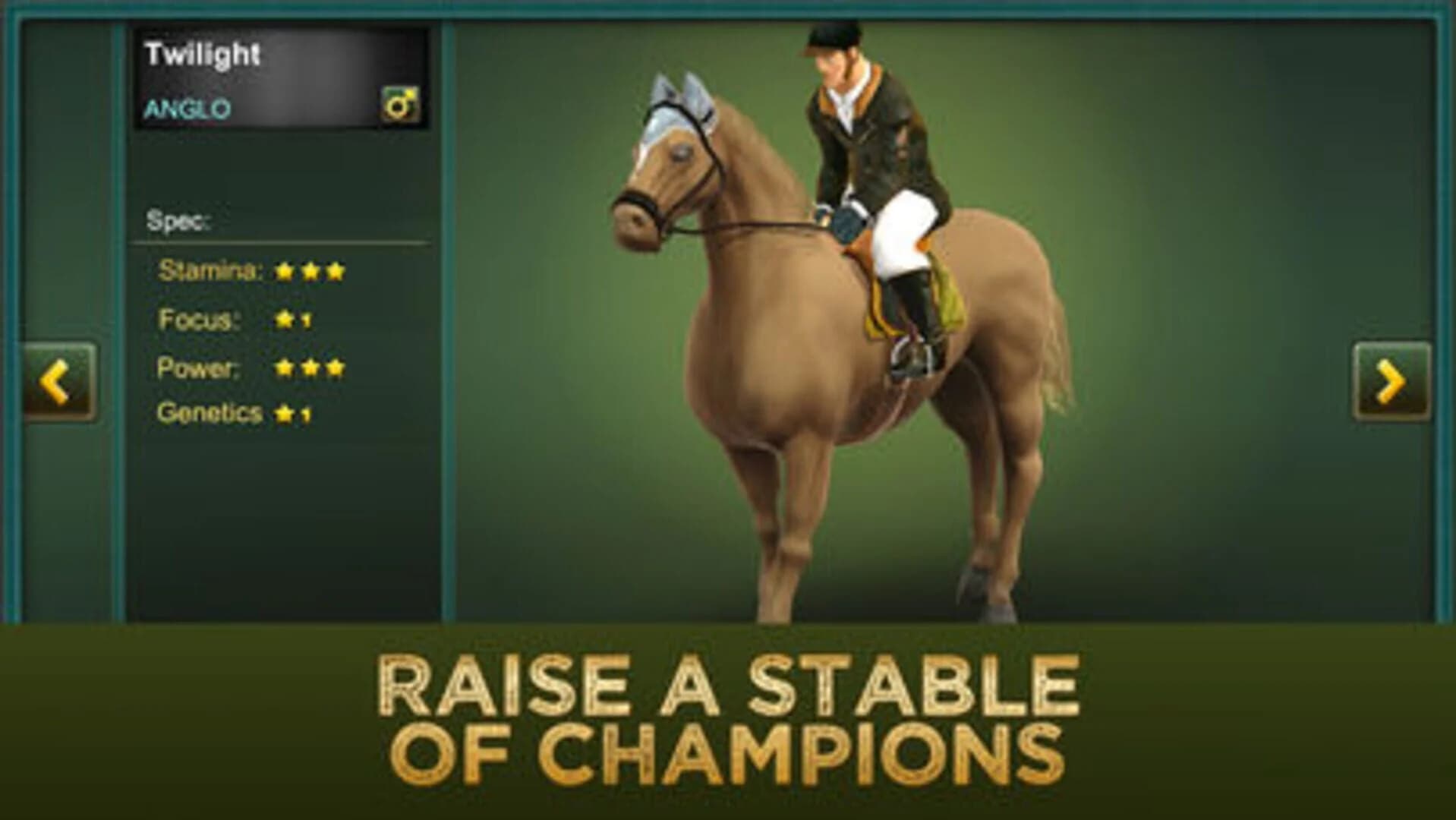 Jumping Horses Champions 2 screenshot 5