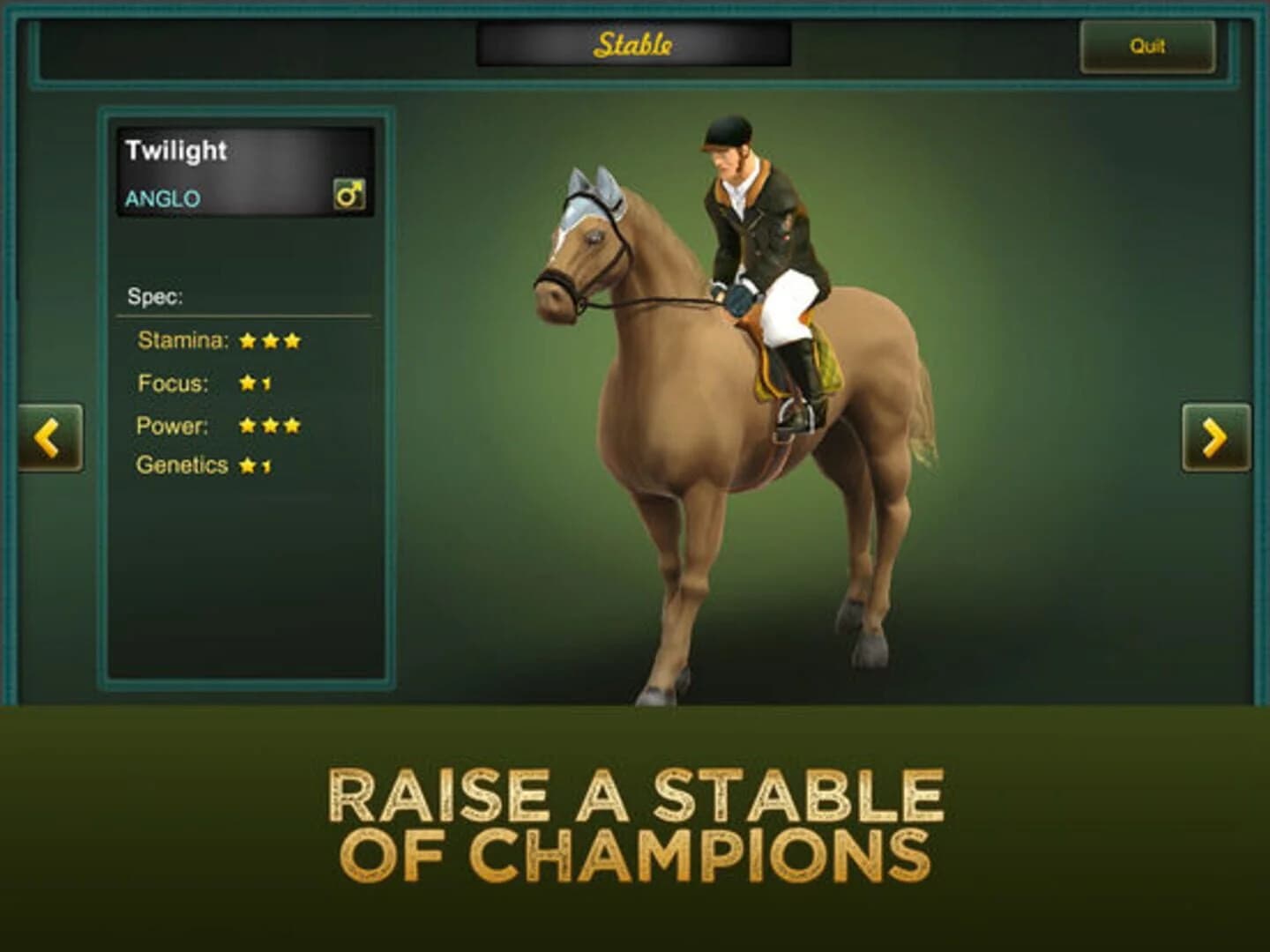 Jumping Horses Champions 2 screenshot 2